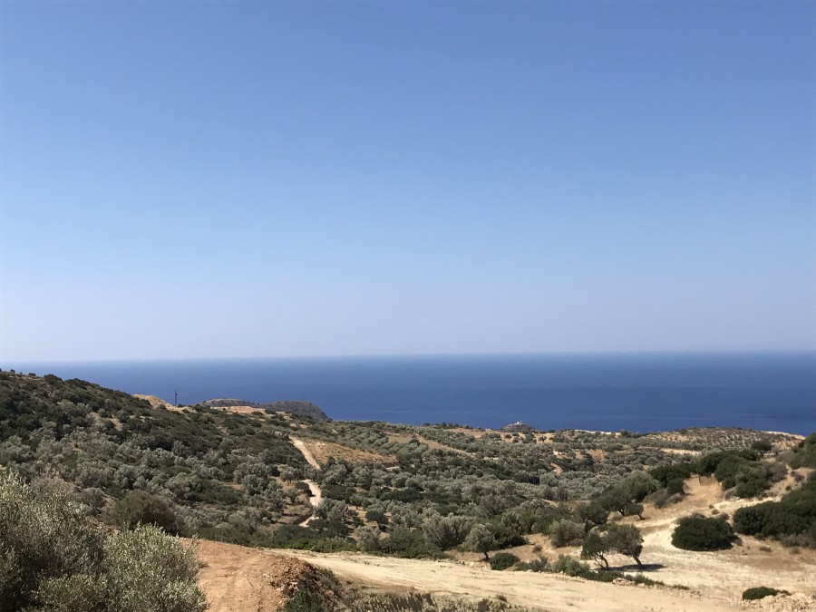 Town House For Rent  in  Yermasoyia